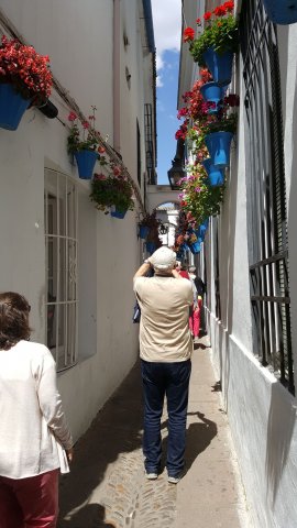 776 cordoba bario de la juderia